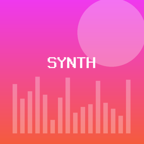 Synth State Vinyl